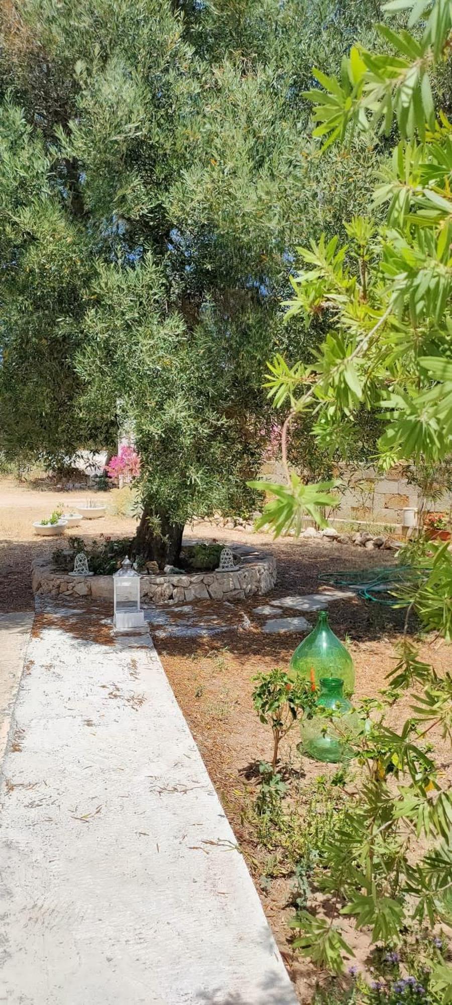 Trullo Alessandro E Villa Raffaela Сан-Вито-деи- Норманни Номер фото