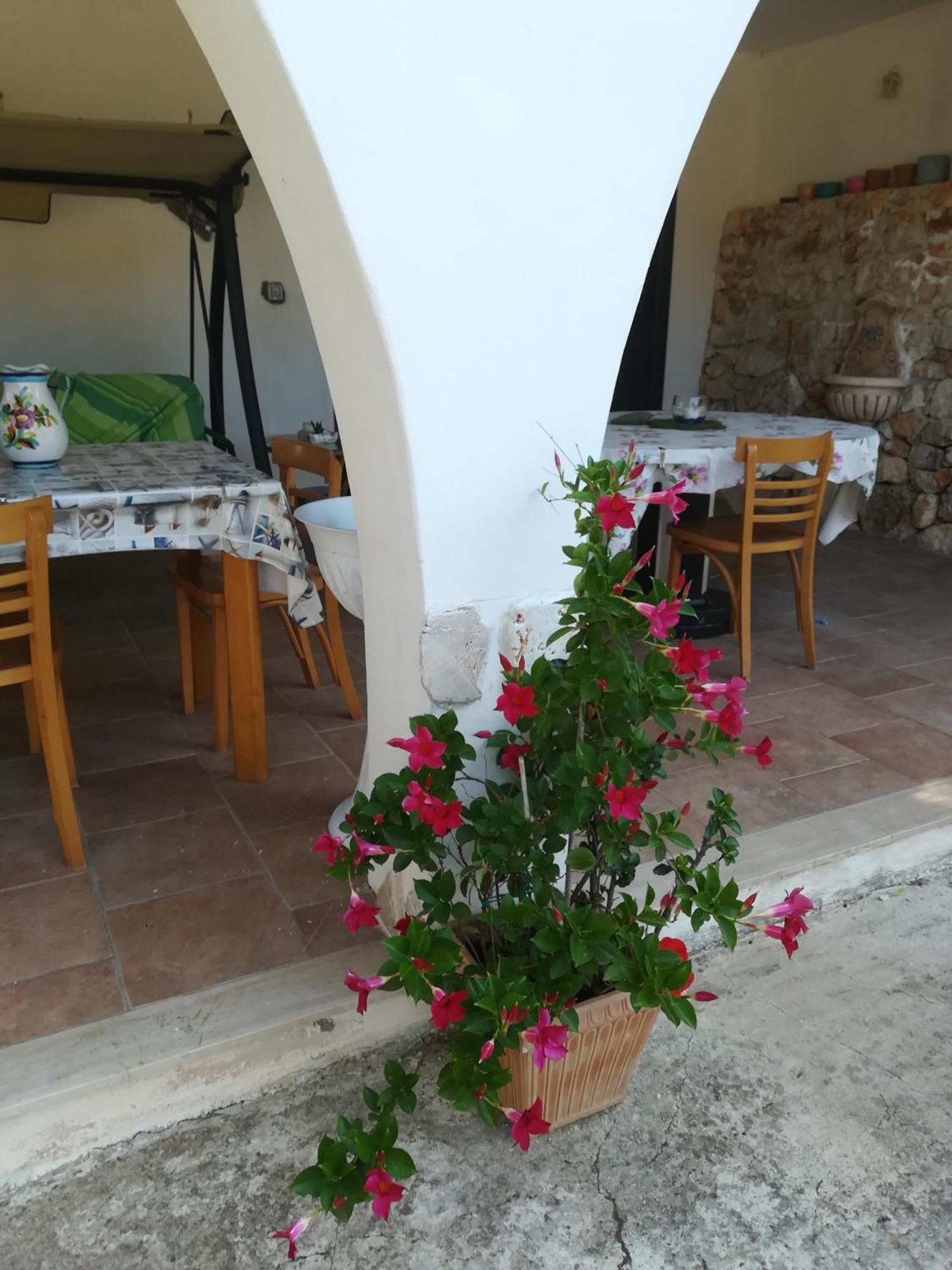 Trullo Alessandro E Villa Raffaela Сан-Вито-деи- Норманни Номер фото
